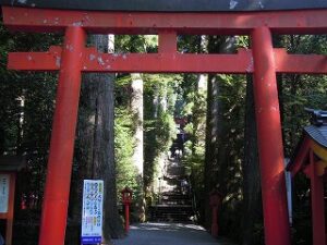 箱根神社鳥居